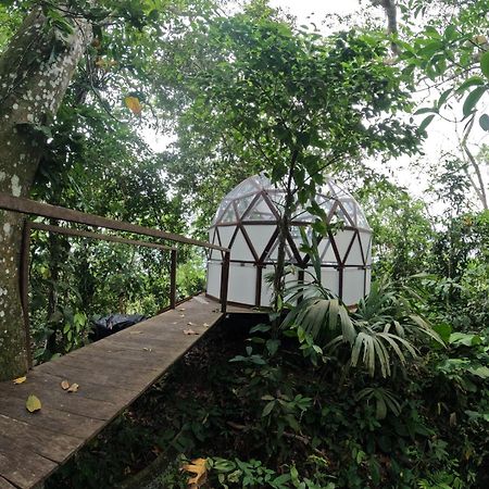 Taorayina Nature Lodge- Immersed In The Forest El Zaino Exterior photo
