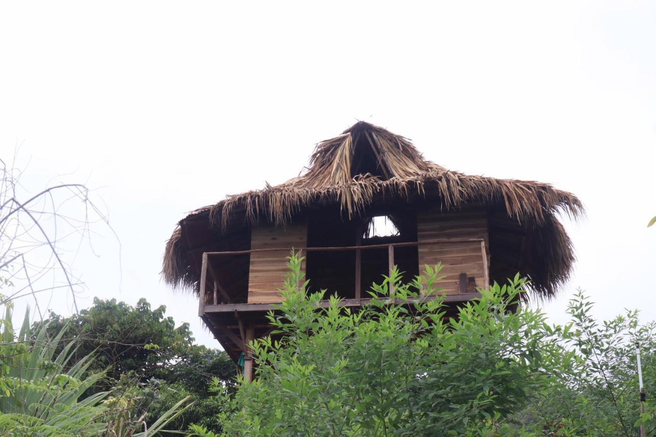 Taorayina Nature Lodge- Immersed In The Forest El Zaino Exterior photo
