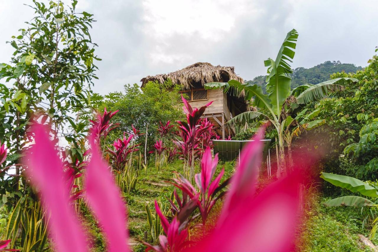 Taorayina Nature Lodge- Immersed In The Forest El Zaino Exterior photo