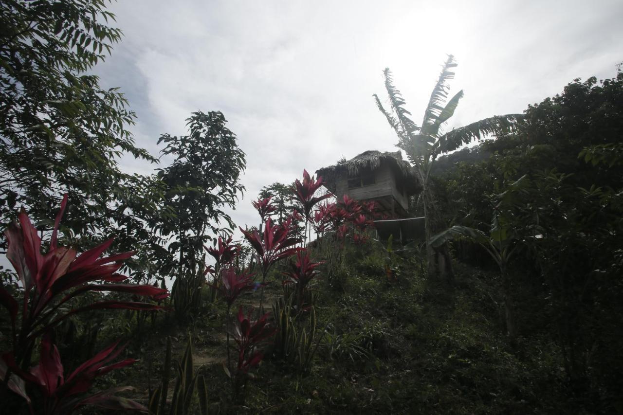 Taorayina Nature Lodge- Immersed In The Forest El Zaino Exterior photo