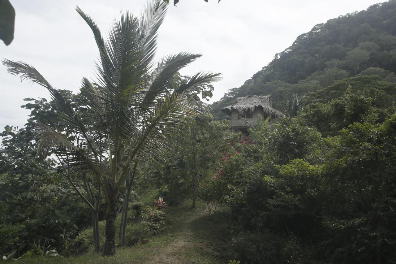 Taorayina Nature Lodge- Immersed In The Forest El Zaino Exterior photo