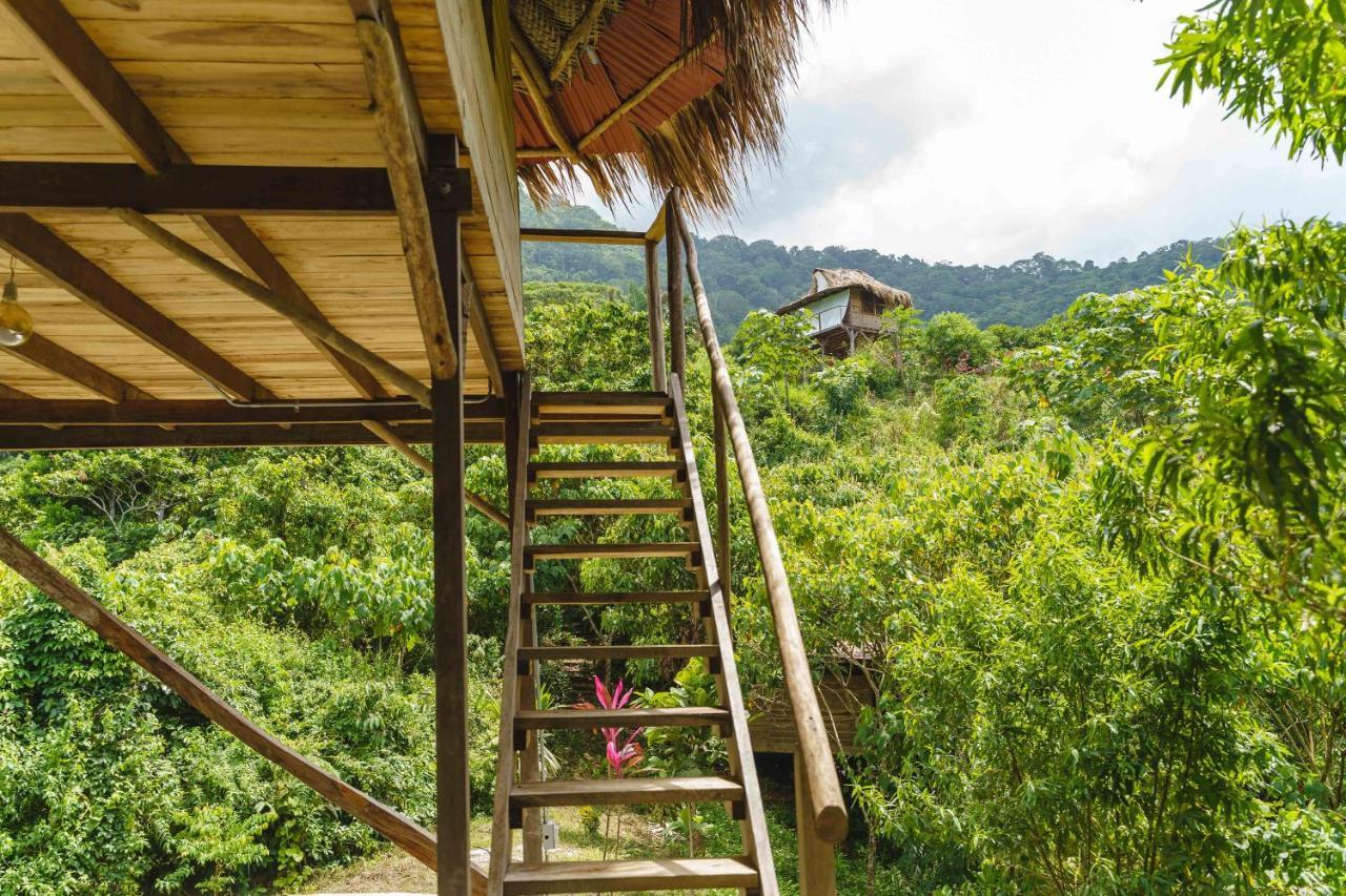 Taorayina Nature Lodge- Immersed In The Forest El Zaino Exterior photo