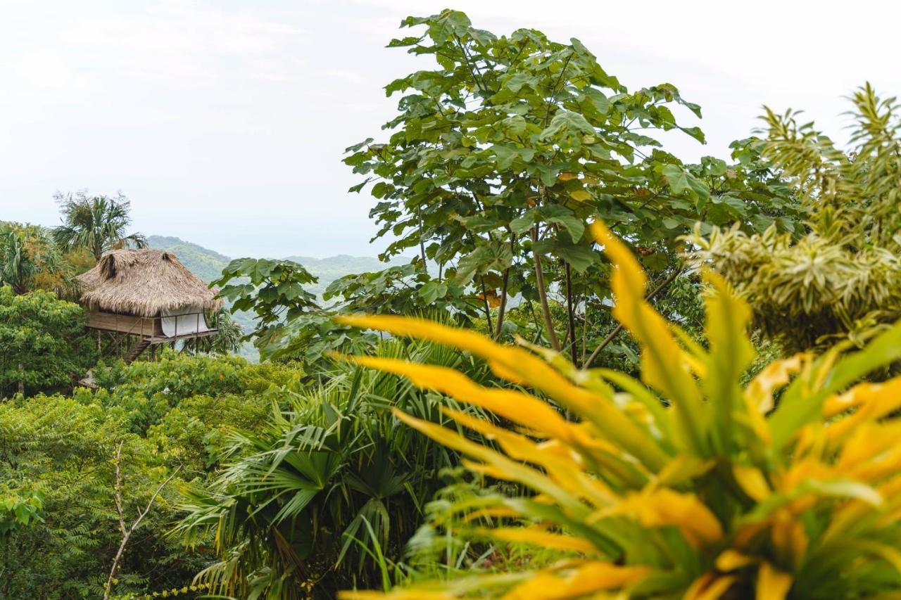 Taorayina Nature Lodge- Immersed In The Forest El Zaino Exterior photo