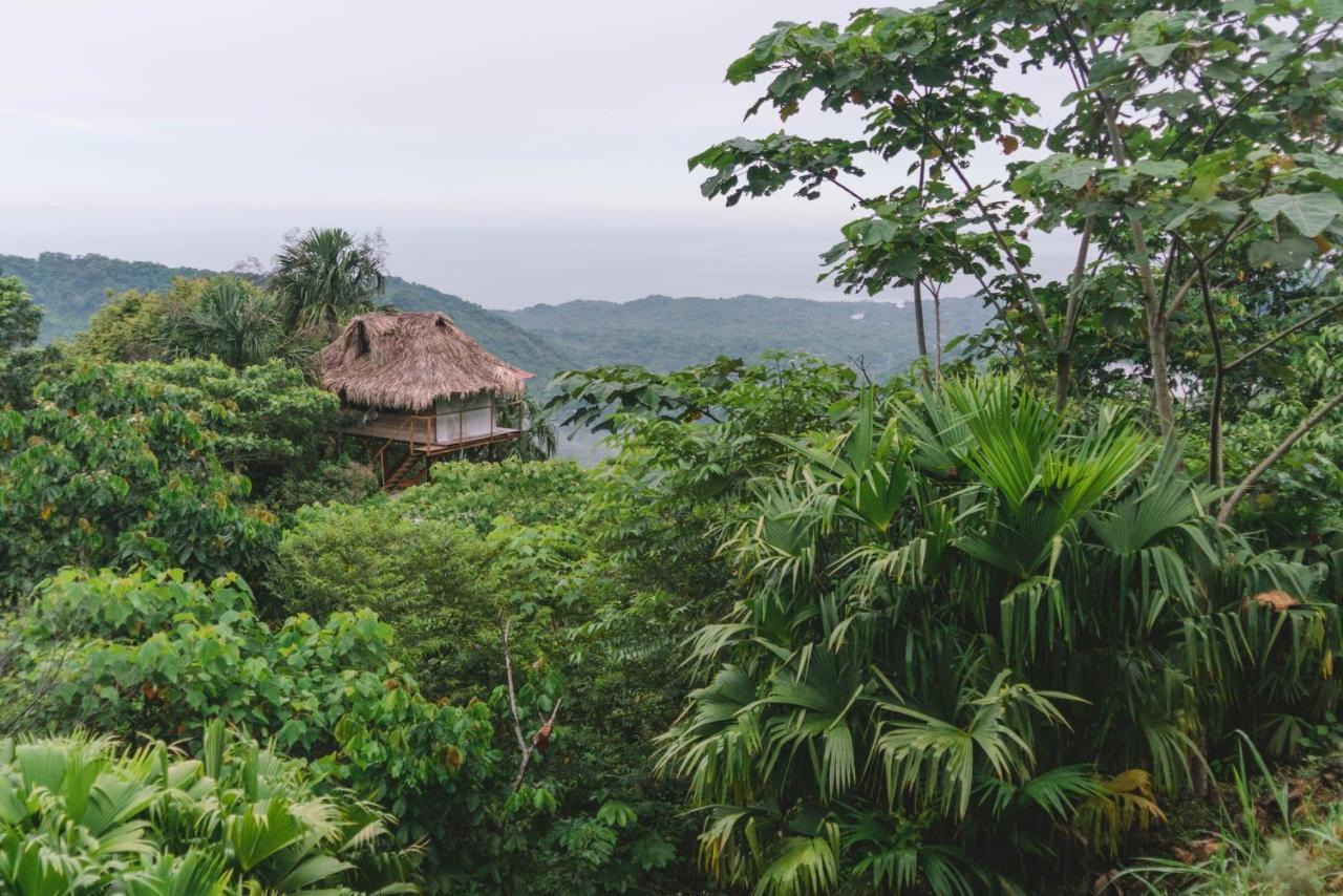 Taorayina Nature Lodge- Immersed In The Forest El Zaino Exterior photo