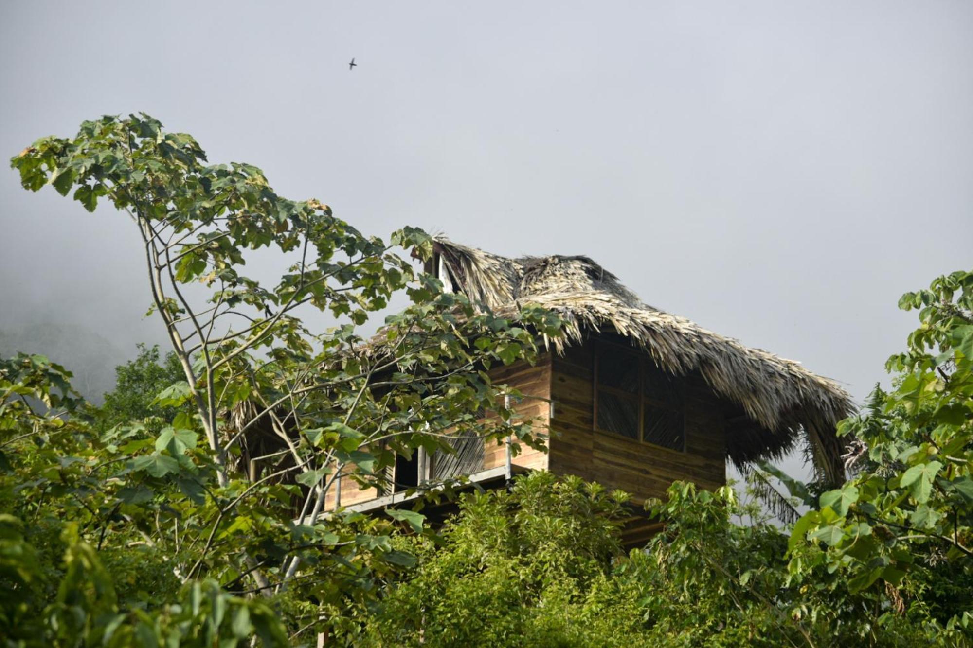 Taorayina Nature Lodge- Immersed In The Forest El Zaino Exterior photo