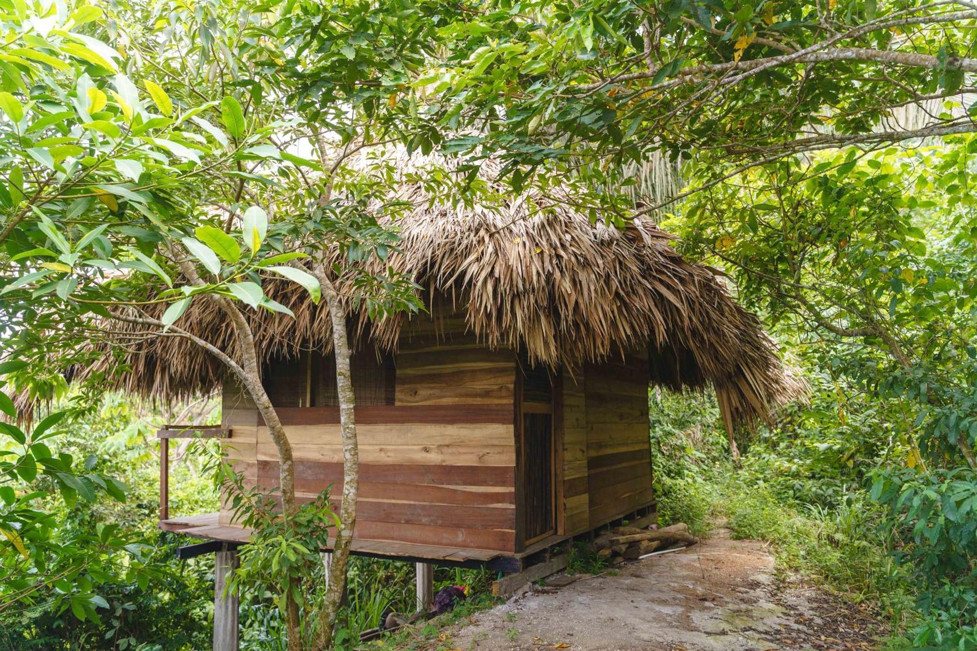 Taorayina Nature Lodge- Immersed In The Forest El Zaino Exterior photo