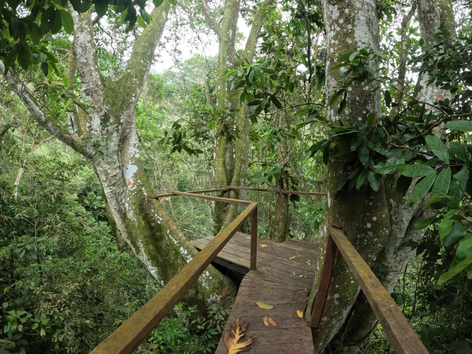 Taorayina Nature Lodge- Immersed In The Forest El Zaino Exterior photo