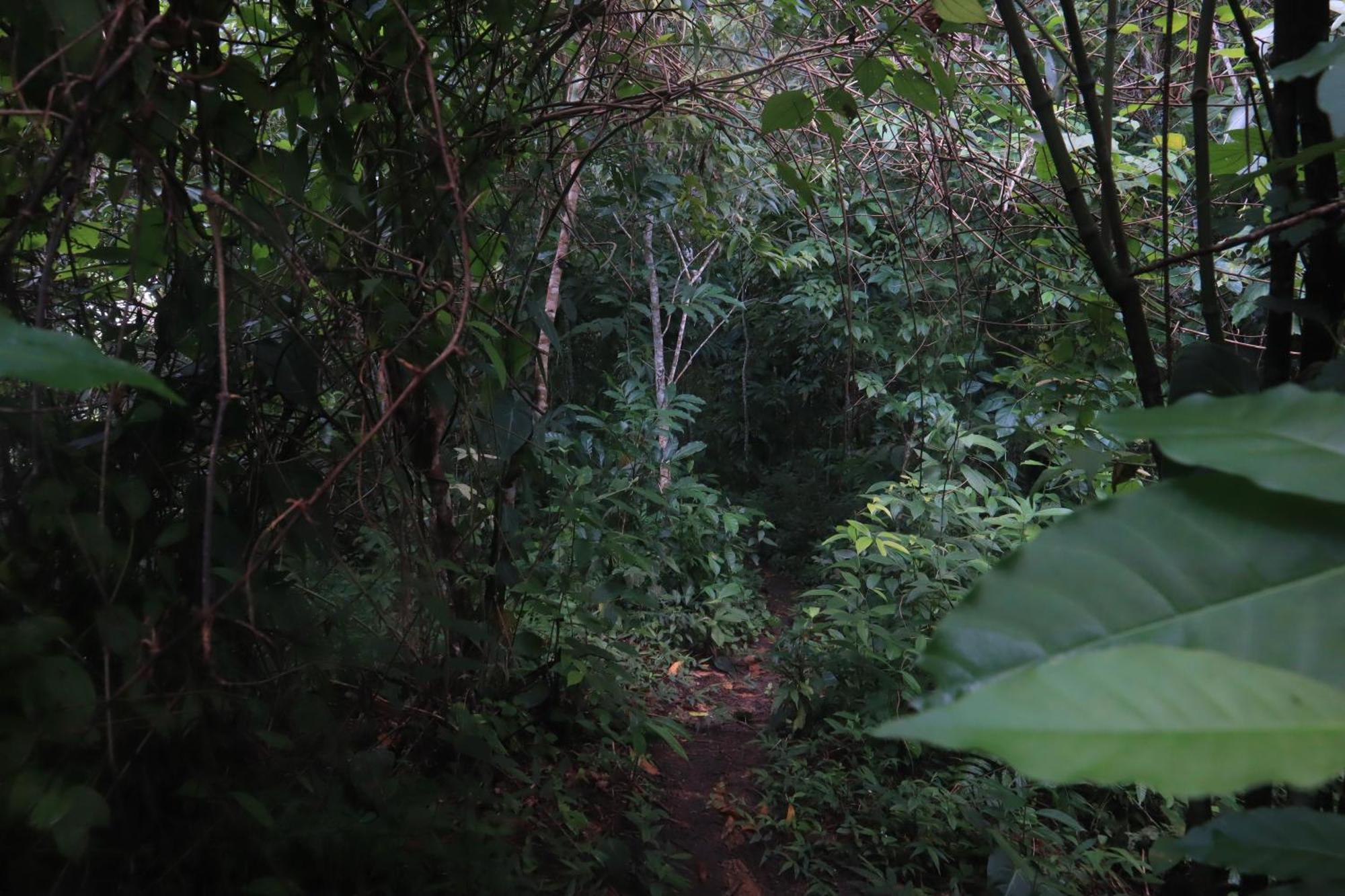 Taorayina Nature Lodge- Immersed In The Forest El Zaino Exterior photo